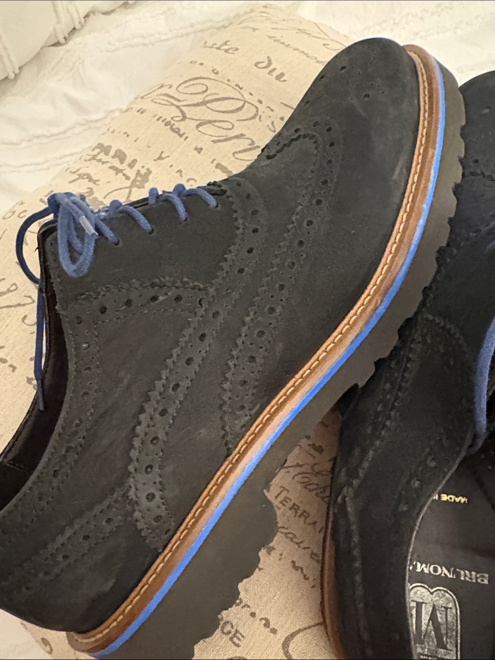 Bruno Magli Black Velvety Suede Wingtip Derbys with Blue Laces - 10.5 Men’s